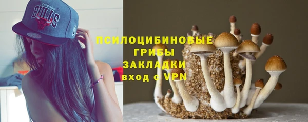 эйфоретик Богданович