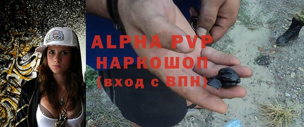 эйфоретик Богданович