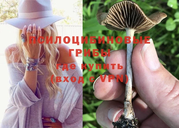 экстази Богородицк