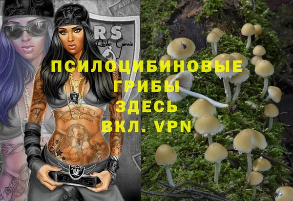 прущие крисы Богородск
