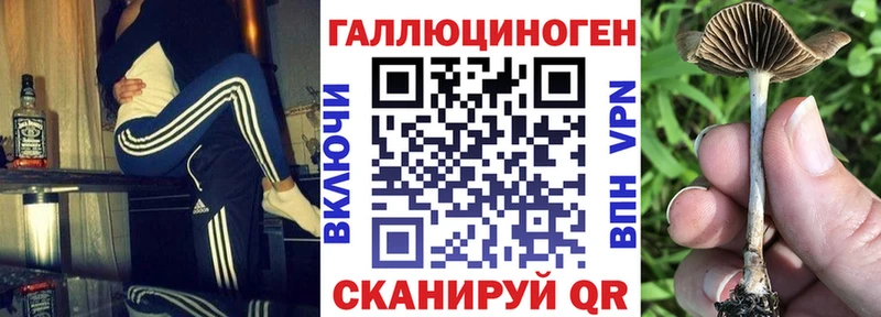 Купить где  Бердск  Псилоцибиновые грибы мицелий 