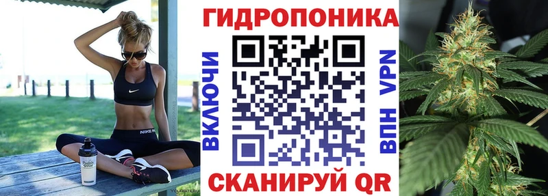 Купить закладки  Бердск  Каннабис VHQ 